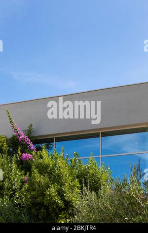 A facade of a building with windows reflecting the blue sky on a sunny day in summer. Modern architecture, minimalistic style. Beautiful buttelrfly bu Stock Photo