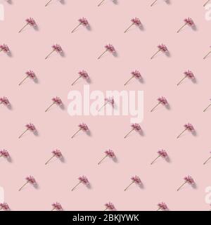 Pink flowers seamless pattern background, wrapping paper template. Greeting card and wallpaper design Stock Photo