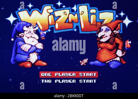 Wiz N Liz Sur Sega Megadrive – Complet PAL, état Excellent, Jeu Psygnosis 1993