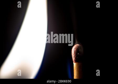 Burning flame heating a match stick close up still on a black background Stock Photo
