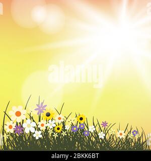 summer flowers grows in sunlight Stock Vector