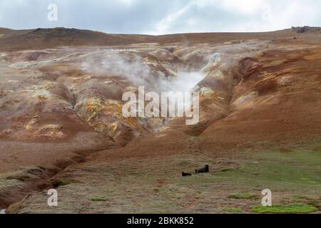 Steam leaking from a long fissure (fumarole) in the Krafla volcanic area near Mývatn, Iceland. Stock Photo