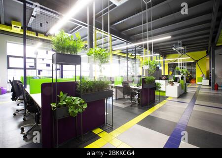 Empty workplaces in modern office with plants, rental office Stock Photo