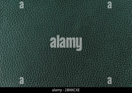 Texture of genuine leather very dark green color, background, surface Stock Photo