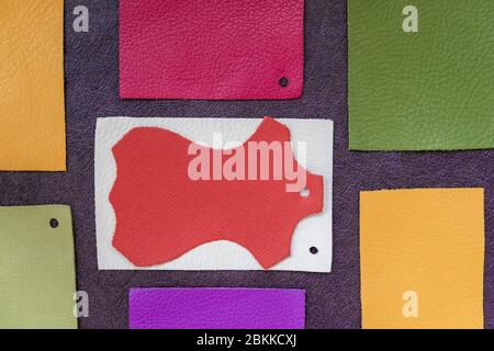 Bright colorful genuine leather pattern palette, texture samples, abstract background. Shopping and industry concept Stock Photo