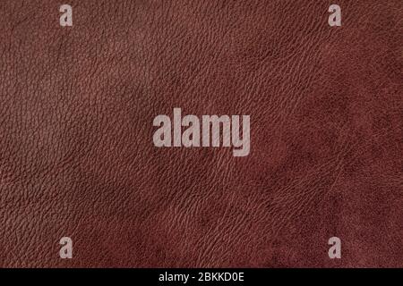 Texture of genuine leather, dark brown color, background, surface. Manufacturing and leather industry concept Stock Photo