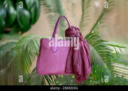 Abstract background of purple handbag embossed under exotic crocodile leather on a background of tropical green natural plants Stock Photo