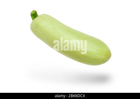 Ripe zucchini on a white background. Levitation. Isolated. Close up. Stock Photo