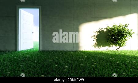 concrete wall with grass and flower floor in empty room and sunlight shadow effect on wall realistic 3D rendering Stock Photo