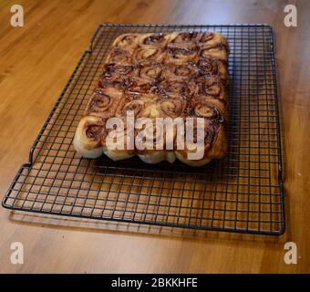 A view of fresh baked cinnamon rolls cooling on a wire rack waiting to be frosted Stock Photo