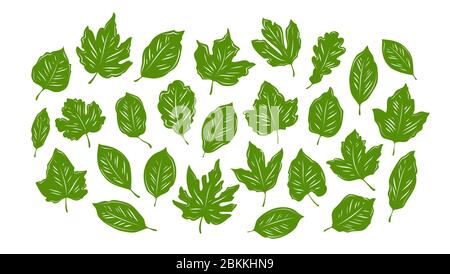 Leaves set. Nature, environment, ecology vector illustration Stock Vector