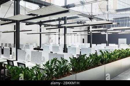 Modern office interior with green plants and computers Stock Photo