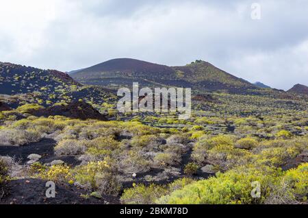 Malpaís (lava fields) landscape at the foot of the Volcán de San Antonio volcano in La Palma, Canary Islands Stock Photo