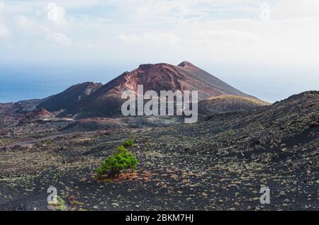 Volcano landscape of Volcán de Teneguía in La Palma, Canary Islands Stock Photo