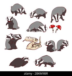 Collection of colorful vector illustraions of badgers, snake and mushrooms Stock Vector