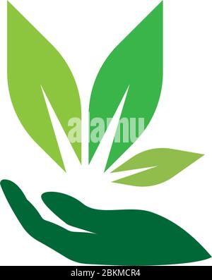 Hand green leaf logo icon illustration Stock Vector