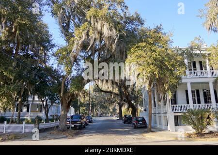 Beaufort USA -20 February 2015 - Tree with Spanish moss in front of old mansion in Beaufort in South Carolina USA Stock Photo