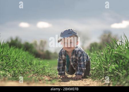 A little Caucasian little boy with blue eyes in a baseball cap and plaid shirt crawling in the furrow of a field with growing grain. Stock Photo
