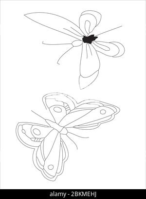 Two different butterflies, one above the other. Black outline on a white background Stock Vector
