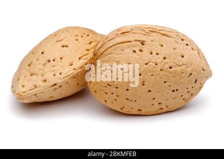 Two almonds isolated on white background. Macro, studio shot Stock Photo