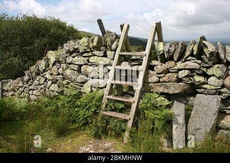Wooden Ladder Stile crossing Stone Wall, Llafar Valley, Snowdonia, Wales Stock Photo