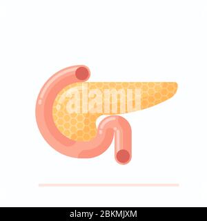 pancreas cartoon flat style icon design of Medical care health and