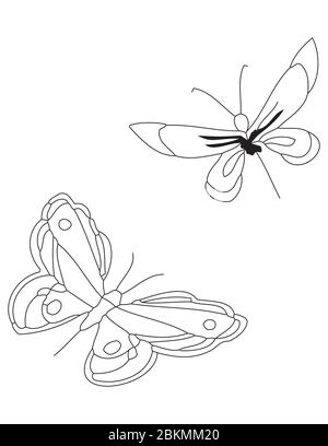 Contours of two butterflies on a white background Stock Vector