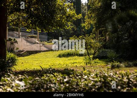 A green garden in Dubrovnik, Dalmatia, Croatia with lots of greenery and trees in the morning sunlight creating a calm and idyllic scenery. Rays of li Stock Photo