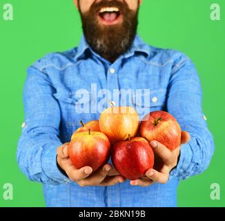 Guy presents homegrown harvest. Man with beard holds red fruit isolated on green background, defocused. Farmer with smile face and hands full of fresh apples. Farming and autumn products concept. Stock Photo