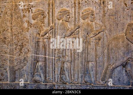 Bas-relief of caravans with offerings at the Apadana Palace, Persepolis Stock Photo