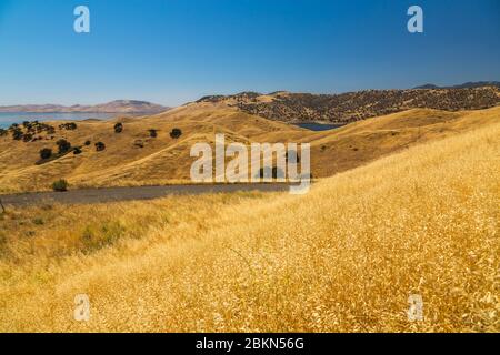 View of landscape near San Luis Reservoir, California, United States of America, North America Stock Photo