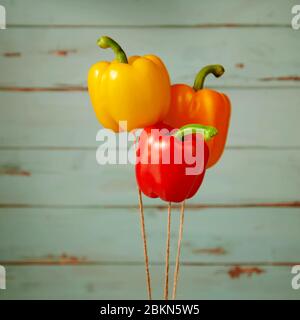 Close-up of three ripe and colorful bell peppers floating on jute twine threads like air balloons against old wooden wall background. Funny design com Stock Photo