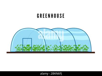 Greenhouse with green plants inside in flat style. Vector illustration Stock Vector