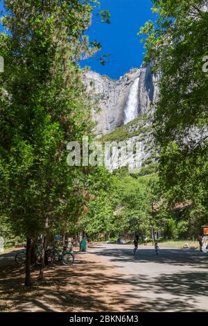 View of Yosemite Falls from Yosemite Village, Yosemite National Park, UNESCO World Heritage Site, California, USA, North America Stock Photo