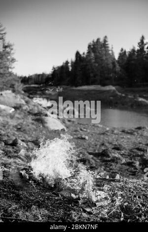 A black and white image of a campfire burning on a beach next to a small cove, with evergreen trees in the background, Vinalhaven, Maine, USA Stock Photo