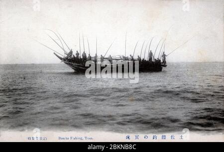 [ 1900s Japan - Japanese Fishermen at Work ] —   Bonito fishing off the coast of Kochi Prefecture on Shikoku island.  20th century vintage postcard. Stock Photo