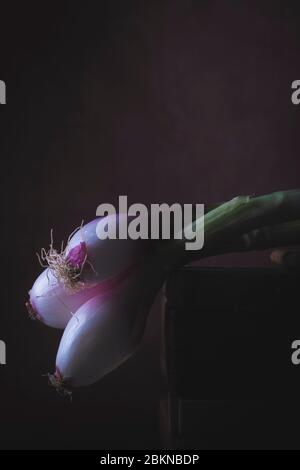Three freshly picked red Tropea onions laid on a wooden table in a rustic setting Stock Photo