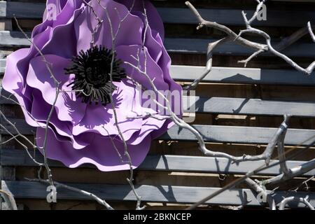 Flowers composition. Wreath made of various yellow flowers on white background. Spring, summer, easter concept. Flat lay, top view, copy space . Stock Photo