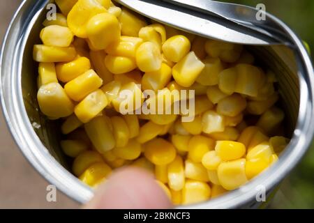Sweet corn in glass jar isolated on white . Stock Photo