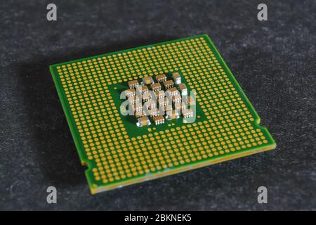 Processor microprocessor CPU of a computer lies on a dark matte surface. Close-up. Semiconductors, pins and connectors. Stock Photo