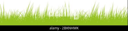 fresh green grass or lawn isolated on white background vector illustration Stock Vector