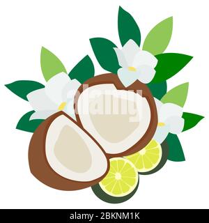 Summer set of flowers and fruits, coconut and lime. Vector illustration. For decoration of postcards, textiles, pillows, dishes, prints on clothes Stock Vector