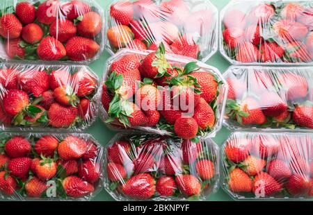 Many strawberries in boxes ready to buy. Flat lay with fresh ripe strawberry fruits. Sweet summer fruits abundance. Strawberry season concept. Stock Photo