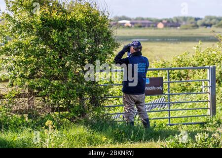 RSPB warden monitoring signs of Summer as Swifts return from Spain and Central Africa on southerly winds to breed in Southport provoking interest by local birdwatchers.  The UK's Swifts have one of the longest migration journeys in the World, 22,000 kilometers (14,000 miles) every year. They fly to and from Equatorial and Southern Africa, using largely unknown routes. Southport, Merseyside. UK Stock Photo