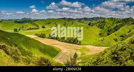 Field in hills at farm, Strathmore Saddle area on Forgotten World Highway (SH43), Taranaki Region, North Island, New Zealand Stock Photo