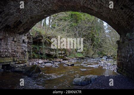 Taf Fechan river at Pont Cwm y Fedwen, Brecon Beacons, Wales Stock Photo