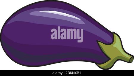 Vector. Aubergine. Eggplant on the white background Stock Vector