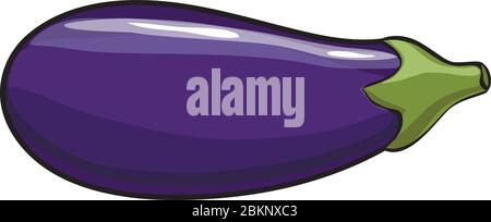 Vector. Aubergine. Eggplant on the white background Stock Vector