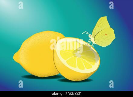 brimstone butterfly on a lemon pretty dainty yellow beautiful Stock Vector