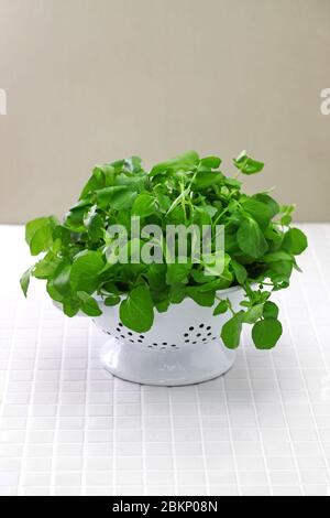 watercress  in  colander Stock Photo